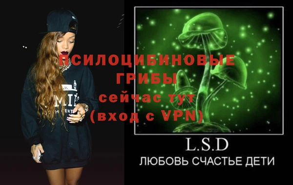 гидра Дмитров